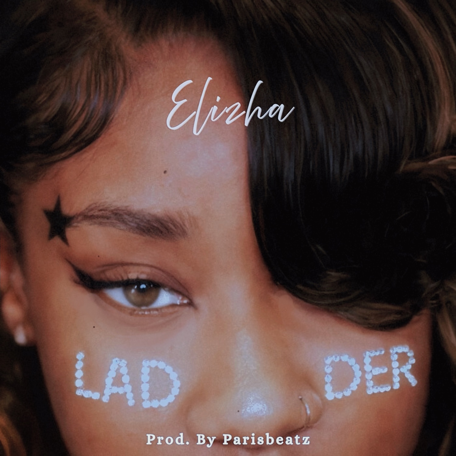 Ladder cover art